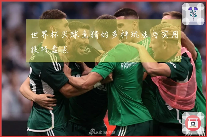 世界杯买球竞猜的多样玩法与实用技巧盘点