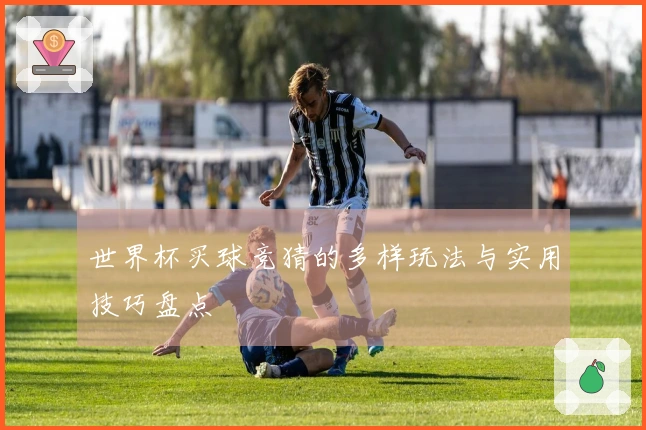 世界杯买球竞猜的多样玩法与实用技巧盘点