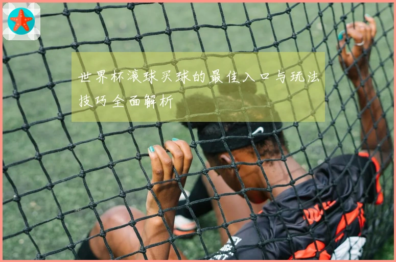 世界杯滚球买球的最佳入口与玩法技巧全面解析