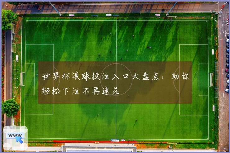 世界杯滚球投注入口大盘点，助你轻松下注不再迷茫